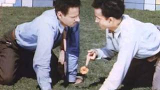 Norman McLaren - Neighbours