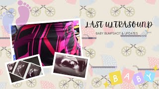 Last Ultrasound Before The Baby Comes/ Baby update / Last trimester