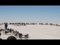 Kobuk 440 Sled Dog Race Mass Start - Sam ...