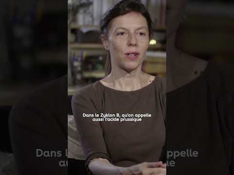 Auschwitz, la terrible usine de mort Nazie