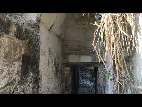 Palacio de San Clemente. #Petén, #Guatemala #shorts #viral #arqueologia #selva