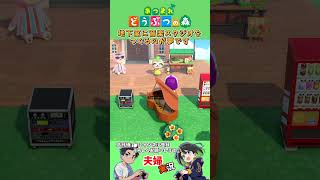 あつまれどうぶつの森　リアルな夢　夫婦実況
