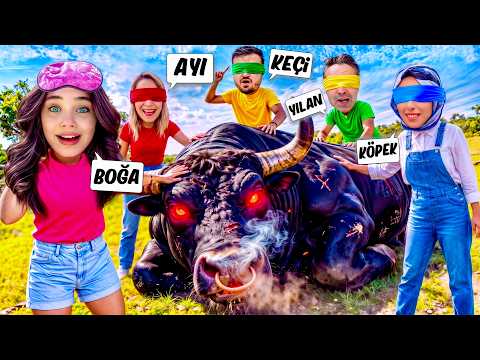 ELİF SİNEM GÖZÜN KAPALI HAYVANI BİL TAHMİN ET !! 