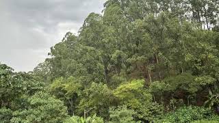 Barulho de Chuva com trovões - Durma com tranquilidade