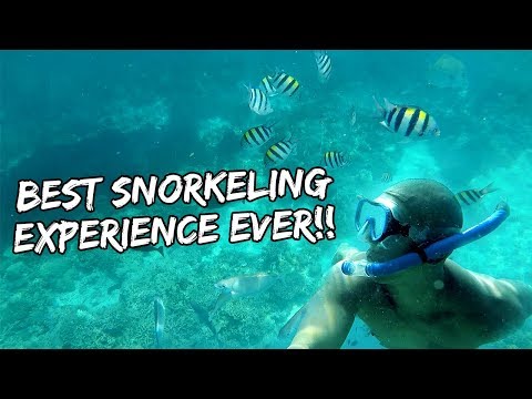 #1 BEST SNORKELING EXPERIENCE OF MY LIFE (AMANPULO, PHILIPPINES) | Vlog #183