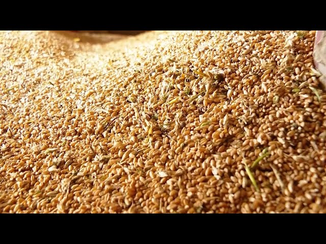 «В центре внимания» выпуск №170