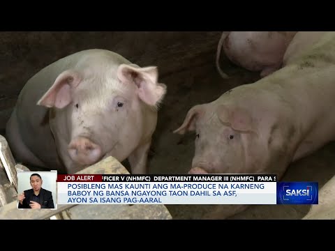 Posibleng mas kaunti ang ma-produce na karneng baboy ng bansa ngayong taon dahil sa ASF,… Saksi