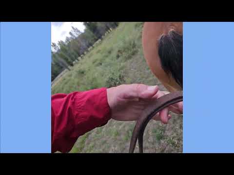Horseback Riding at Triangle X Ranch in Wyoming - August 2023