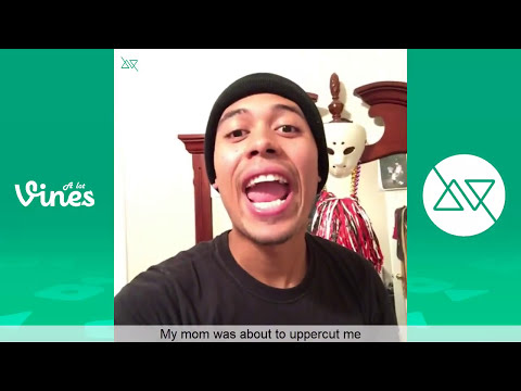 Try not to laugh watching Mighty Duck Pranks Vine Compilation 2017 #2