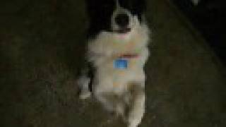 Me and Samson (Samson walking on two legs)