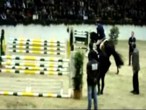 Diarado v. Diamant de Semilly-Corrado I, Februar 2013