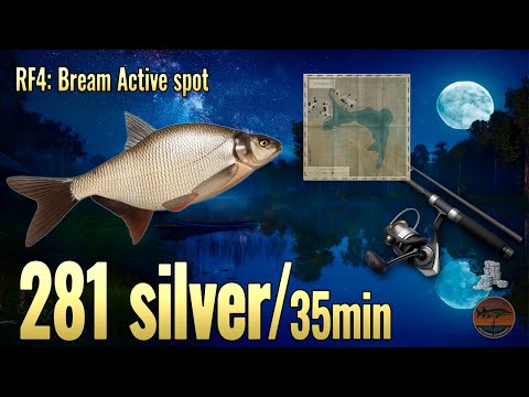281 Silver in 35 Mins! 💰 Best Bream Spot | Russian Fishing 4 🎣