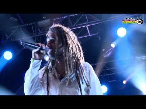 BABY I LOVE YOUR WAY by BIG MOUNTAIN live @ Main Stage 2016