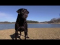 Matt & Kim - Spare Change (unofficial music video)