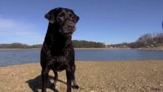 Matt & Kim - Spare Change (unofficial music video)