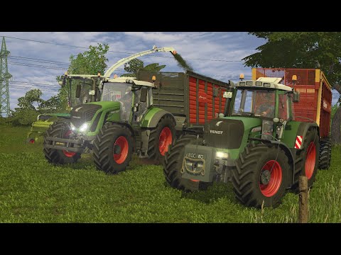 [Ls17] Gras häckseln in Ebsdorf