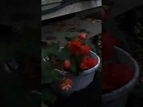 Experiencing Father's Embrace