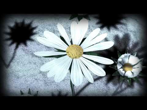 Jan Hertz - Daisyworld