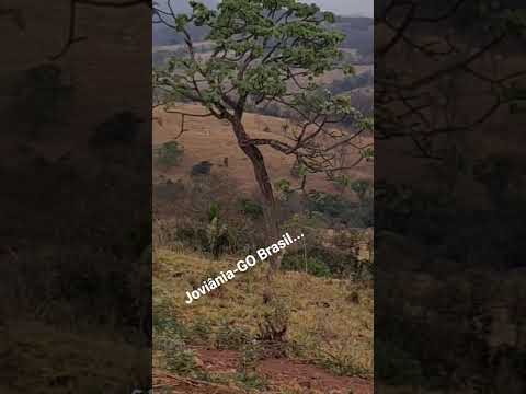 Rolezinho de moto em Joviânia-GO BR