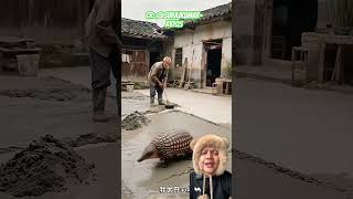 Download lagu TERINGGILINGNYA BANTU KAKEK⁉️ Cr: @S@SurajKumar-rv7qs mp3