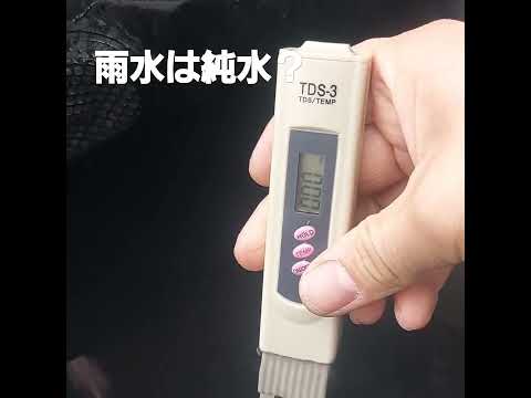 雨水は安全に飲めますか?新しい研究で明確な結論が出た