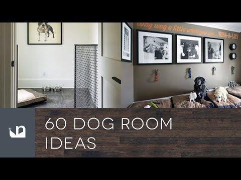 download lagu mp3 mp4 Indoor Dog Play Room, download lagu Indoor Dog Play Room gratis, unduh video klip Indoor Dog Play Room