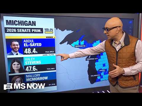 Divisions among Michigan Democrats weigh on Senate race