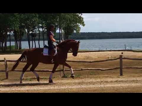 Zandmann For Sale (Zack / Hotline)