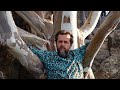 The Barney McAll Interview