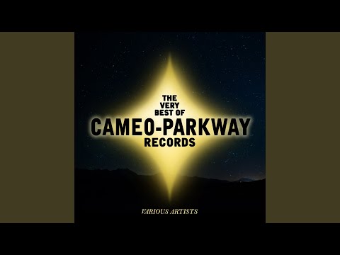 Bristol Twistin' Annie