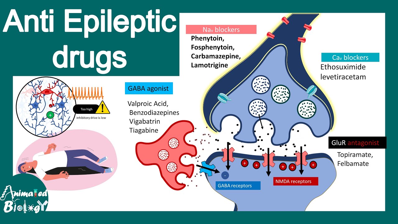 Anti epileptic drugs | Treatment of Epilepsy | pharmacology in 10 minutes