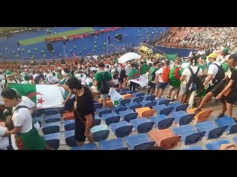الجزائريون يشعلون استاد القاهرة في نهائي كأس الأمم الأفريقية