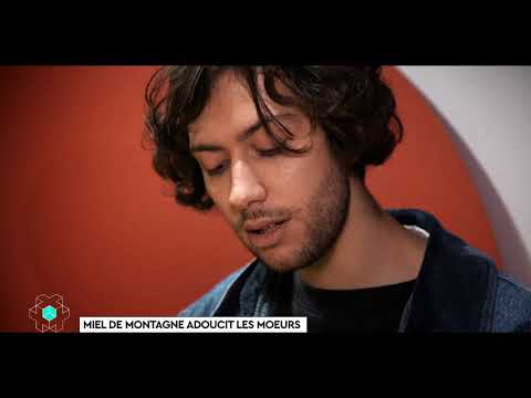 Miel de Montagne adoucit les moeurs – CANAL+