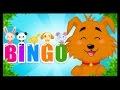 Bingo En Français Compilation De Comptines Et Chansons Pour Les Enfants Titounis