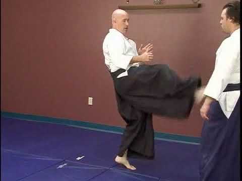 Aikido Striking Tips: Front Kick