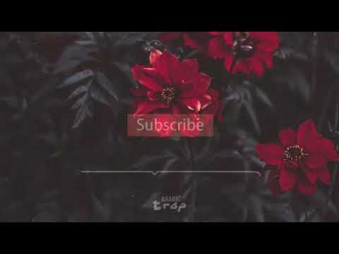 FG - KOKAINA (feat Linda Bajrami)