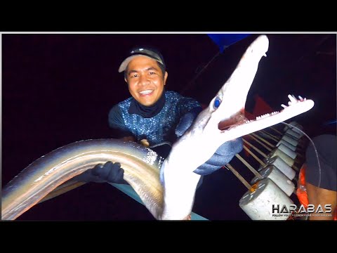 EP649-P1 - Kakaibang Isda ang Nahuli Namin sa Kitang | Occ. Mindoro