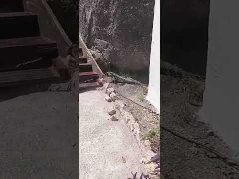 Video de Caba�as Balc�n de Pehumayen