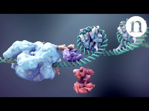 CRISPR: Gene editing and beyond