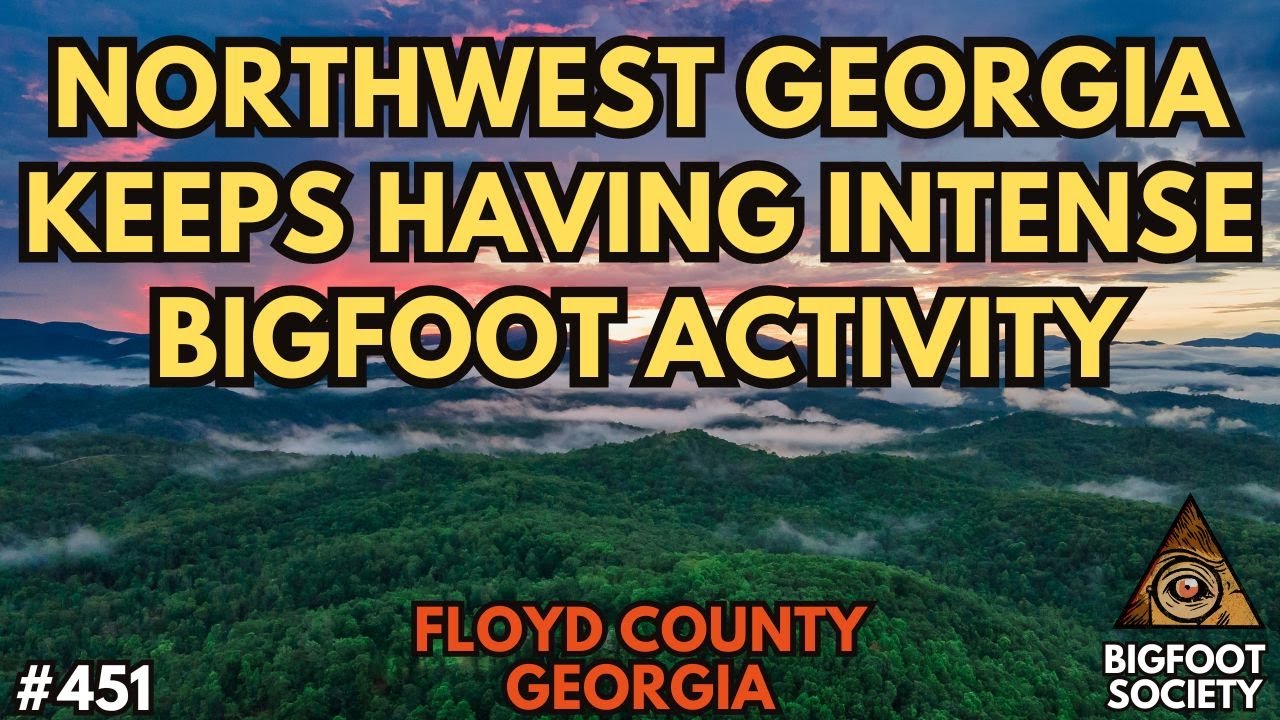Running from the Mafia in Sasquatch Territory!