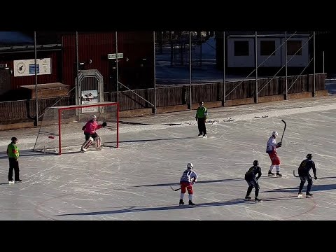 «Falu BS»-«Kalix Bandy» 19 feb /Bandyallsvenskan 2022-23/