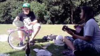 hofgarten konzert das original