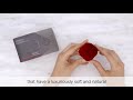Shiseido Hanatsubaki Hake