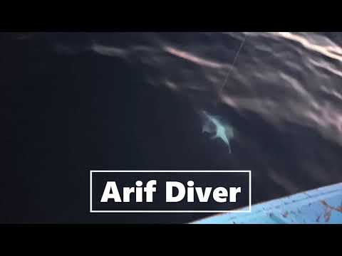 Arif Diver | Fishing near Ormara beach | Big Catch