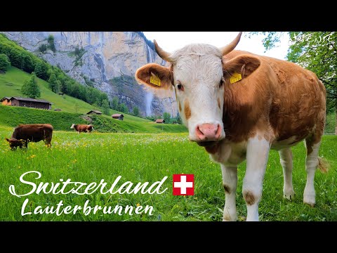 Paradiesische Schweiz 4K | LAUTERBRUNNEN Tal und Dorf | Echtes 4K-UHD-Video mit 60 fps