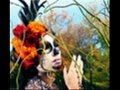 The Church - Day Of The Dead