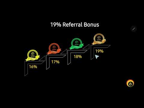 COMPENSATION PLAN Alpha Int. S.C.