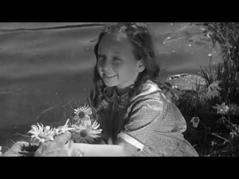 Frankenstein Twist x Frankenstein