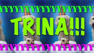 HAPPY BIRTHDAY TRINA! - EPIC Happy Birthday Song