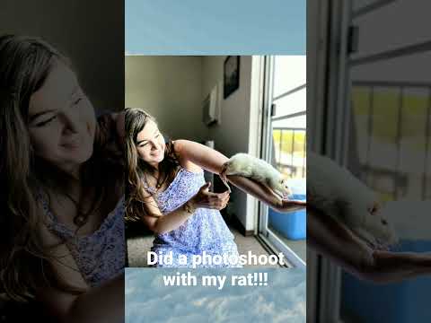 Rattie Photoshoot!!! Which one is your fav?